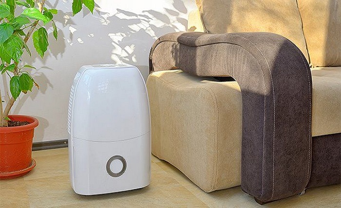 Dehumidifier in Your Home