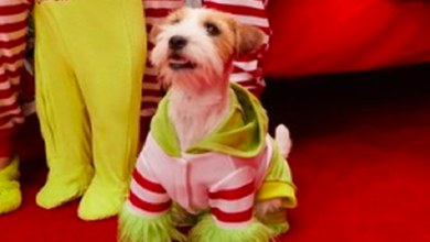 Grinch Dog Costume